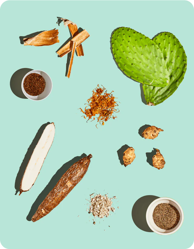 Our Ingredients