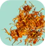 Calendula Flower
