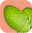 Nopal Cactus